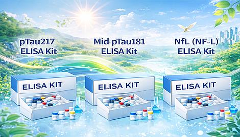 ELIZA KIT BUSINESS