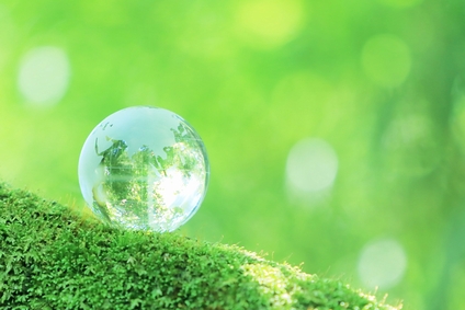 Sustainability